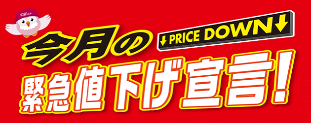今月の緊急値下げ宣言！