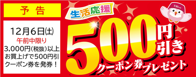 500円引きクーポン発券